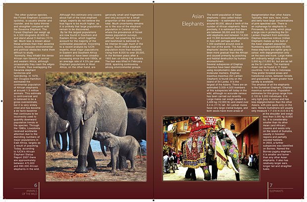 Elephant Article